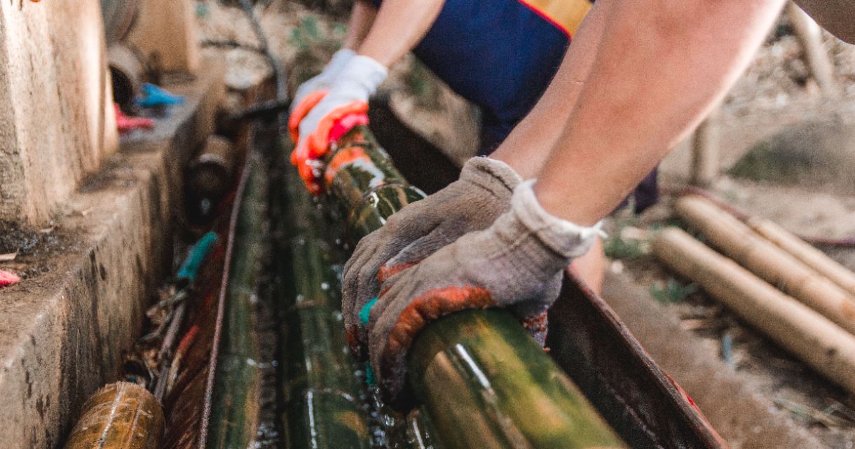 Bamboo's Role in Driving the Circular Economy